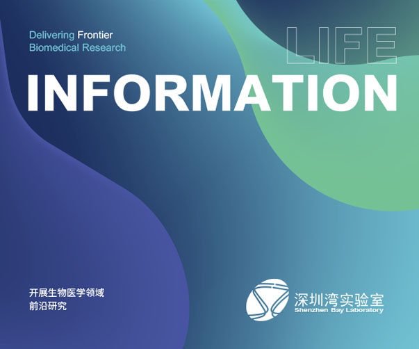 廣州VI設計公司逐步發展的路徑與策略